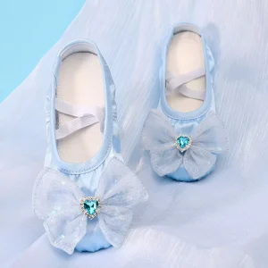 Blue Girl Practice Bodysuit Stage Performance Dance Shoes Dancing Ballet Paws
