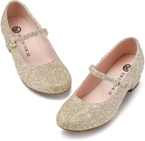 Girls Mary Jane Dress Shoes Princess Ballerina Flats Low Heels for School Party Wedding Back to School Shoes for Girls