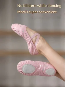 Girls Soft Ballet Shoes Pink Embroidery Designs Canvas Breathable Durable Leather Sole Flat Heel