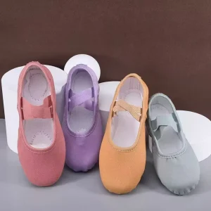 Hot Selling Popular Good Quality Professional Manufacturers Dance Wear Shoes Ballet