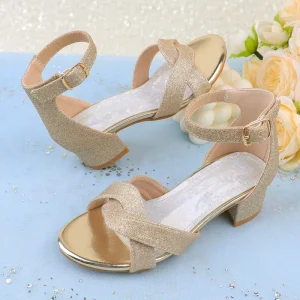 Little Kid Girls Block Heel Party Wedding Shoes for Girls Summer Stage Performance Dance Birthday Sandals