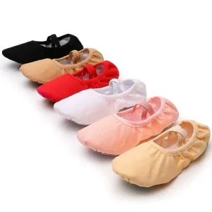 Professional Ballet Dance Shoes for Boys and Girls Wear-resistant Leather Sole Soft Shoes