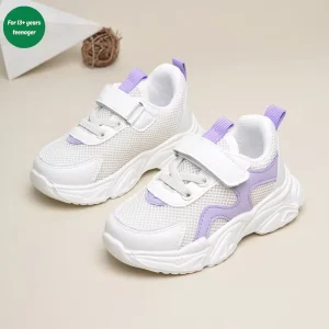 Skateboarding Shoe Sport Shoe Casual Shoe Outdoor Shoe Walking Sneaker Shoe
