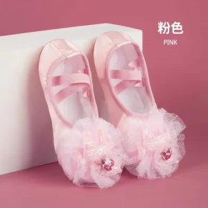 TJ708 Stain Ballerina Slippers Flats Ballet Elegant Ballet Shoes Dance for Women and Girls Kids