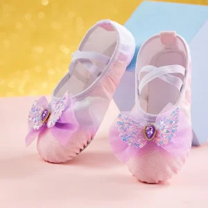 TJ814 Custom Kids Ballet Dance Shoes Soft Sole Girls Leotards Gymnastics Dancing Training Dance Shoes for Girls Costume
