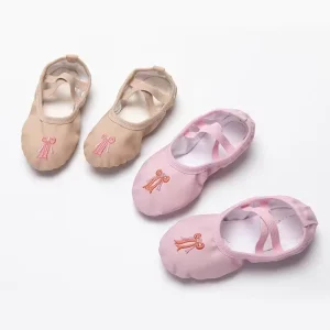 Wholesales Custom New Trendy Dance Wear Ballet Flat Dance Shoes With Embroidery